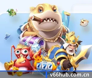 V66体育的故事