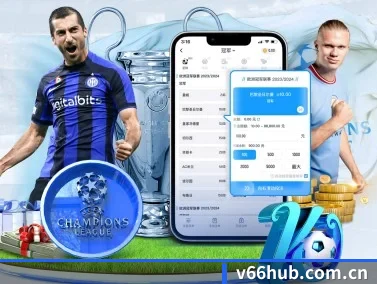 V66体育 APP